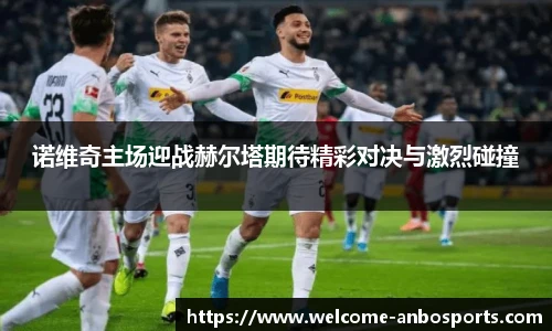 诺维奇主场迎战赫尔塔期待精彩对决与激烈碰撞